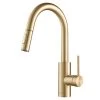 Oletto Single-Handle Pull-Down Sprayer Kitchen Faucet In Gold