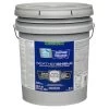 HGTV HOME By Sherwin-Williams Weathershield Extra White Satin Exterior Tintable Paint (Actual Net Contents: 620-fl Oz)