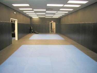 Get Rung Martial Art Mats (1 Inch) 25mm Perfect For Karate, Martial Arts, Judo, Jiu Jitsu, Grapping Interlocking Puzzle Mats - Image 3