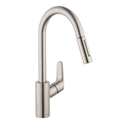 Focus Single-Handle Pull-Down Sprayer Kitchen Faucet In Steel Optik