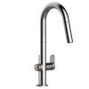 Beale MeasureFill Touch Single-Handle Pull-Down Sprayer Kitchen Faucet In Stainless Steel