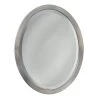 23 In. W X 29 In. H Metal Framed Single Oval Mirror In Brushed Nickel