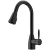 Graham Single-Handle Pull-Down Sprayer Kitchen Faucet In Matte Black