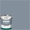 ColorPlace Pre Mixed Ready To Use, Interior Paint, Blue Grey Sky, Flat Finish, 1 Gallon