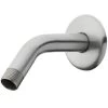 AquaSource 0.5-in Brushed Nickel Shower Arm And Flange