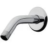 AquaSource 0.5-in Chrome Shower Arm And Flange