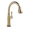 Cassidy Touch Single-Handle Pull-Down Sprayer Kitchen Faucet In Lumicoat Champagne Bronze