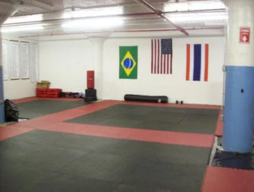 Get Rung Martial Art Mats (1 Inch) 25mm Perfect For Karate, Martial Arts, Judo, Jiu Jitsu, Grapping Interlocking Puzzle Mats - Image 4