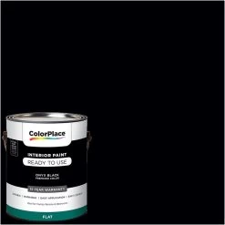 ColorPlace Pre Mixed Ready To Use, Interior Paint, Onyx Black, Flat Finish, 1 Gallon
