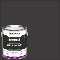 ColorPlace Pre Mixed Ready To Use, Interior Paint, Onyx Black, Semi-Gloss Finish, 1 Gallon