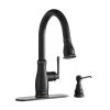 Kagan Single-Handle Pull-Down Sprayer Kitchen Faucet With Soap Dispenser In Bronze